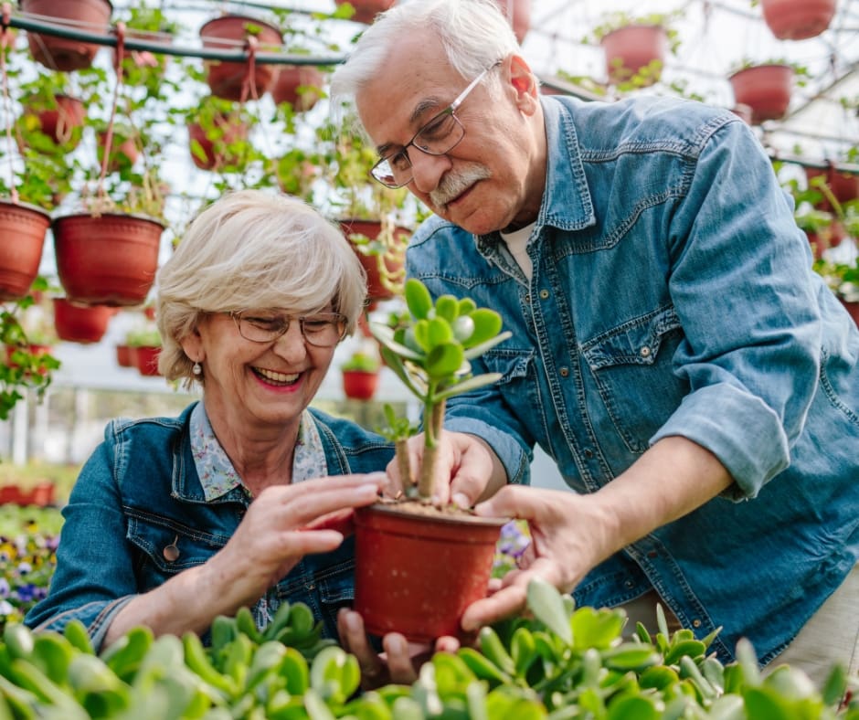 Seniors joyfully gardening together in a vibrant greenhouse filled with potted plants, showcasing connection and nurturing care.