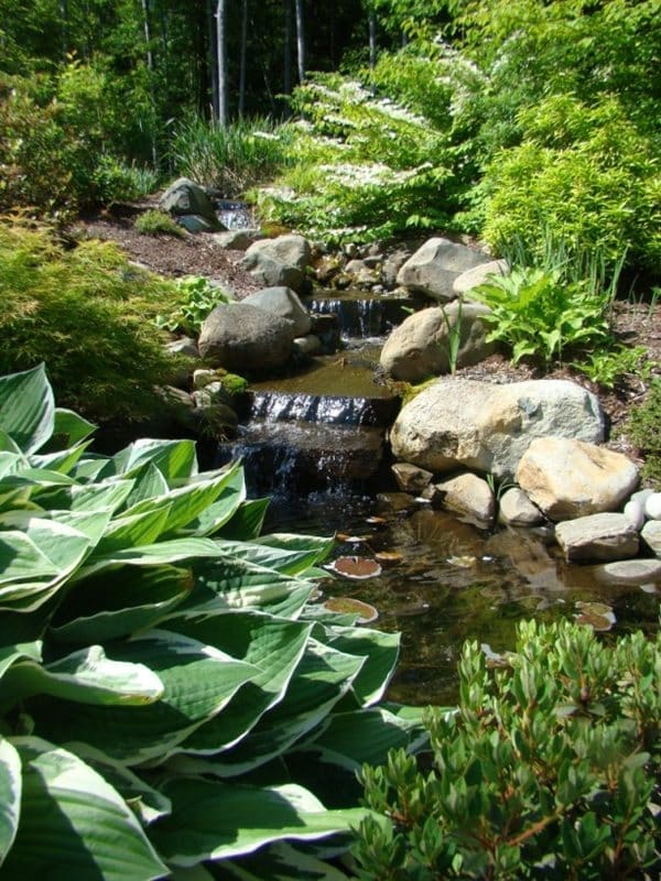 Lush garden featuring a tranquil waterfall flowing over rocks, surrounded by vibrant greenery and foliage.