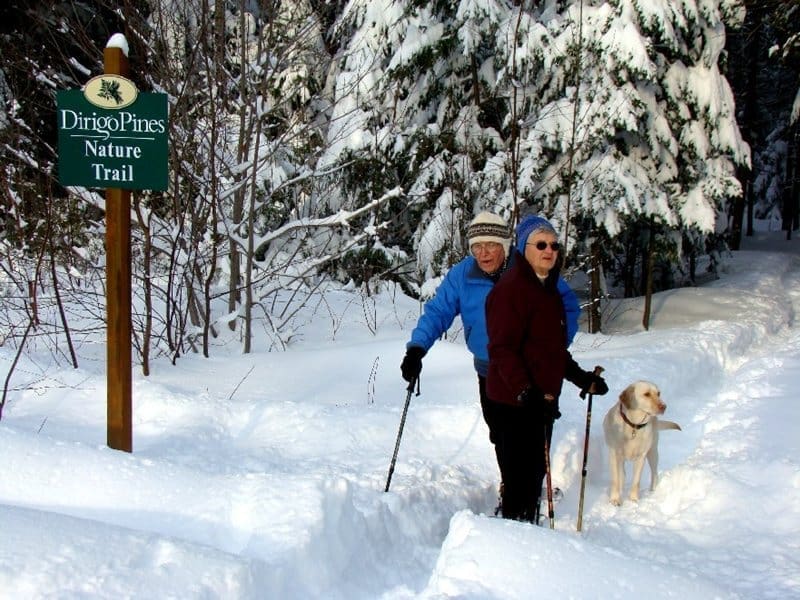 Active seniors enjoy a snowy nature trail with their dog, surrounded by pine trees and winter scenery.