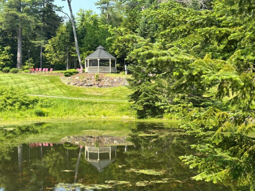 Serene pond reflecting a charming gazebo, surrounded by lush greenery and vibrant seating, creating a tranquil outdoor retreat.