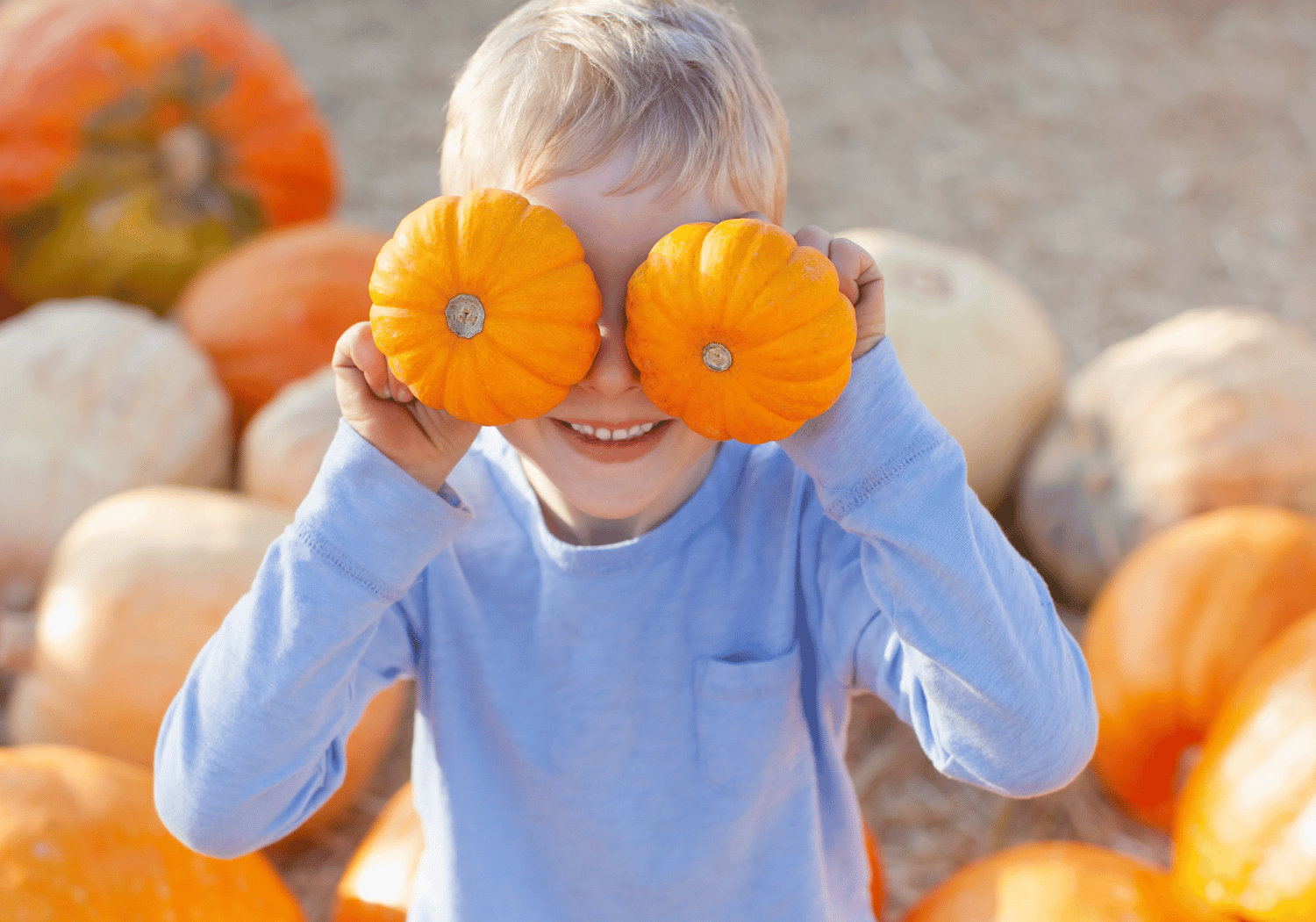 Fall Festival