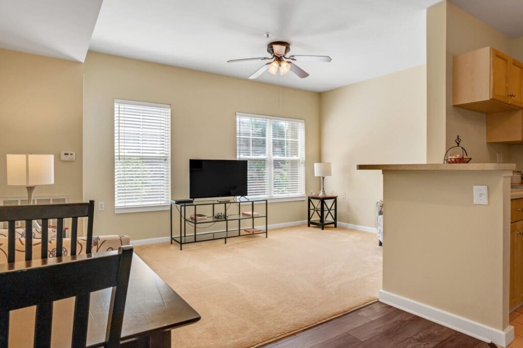 Bright, spacious living area with a ceiling fan, large windows, a comfortable couch, and stylish furnishings.