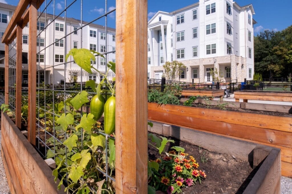 Vibrant community garden with thriving plants and flowers, set against an upscale senior living facility.