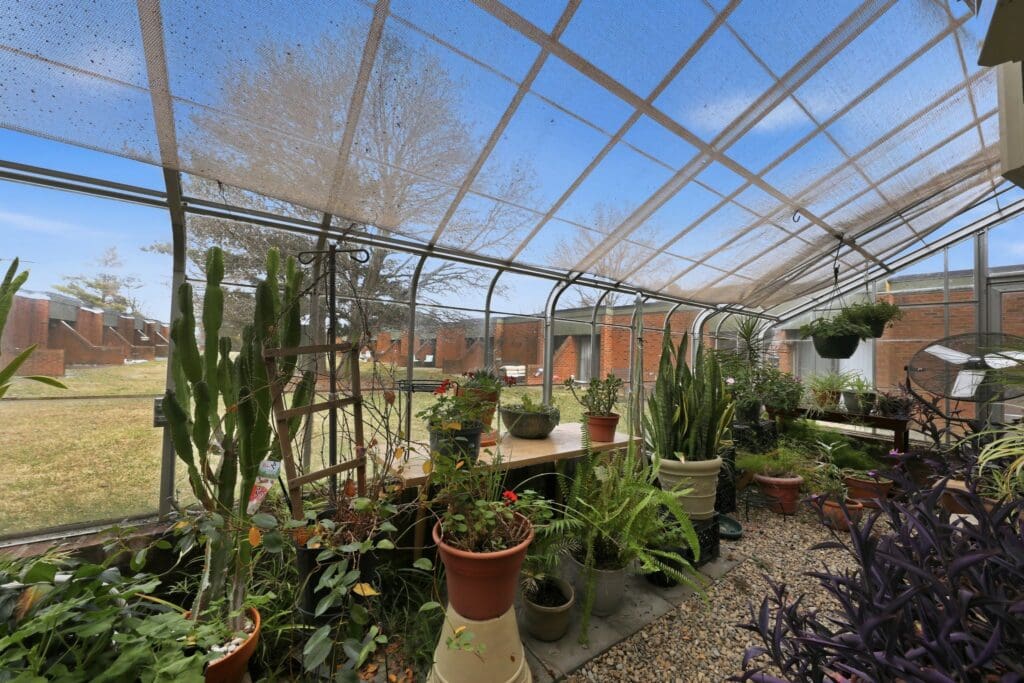 Greenhouse_NorthgatePark - Grace Management Vibrant greenhouse filled with various plants, showcasing a sunny atmosphere and connecting indoor and outdoor spaces.