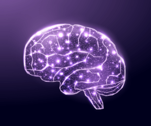 Purple brain illustration